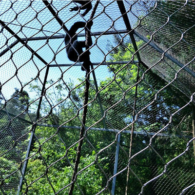 Stair Railing Rhombus Mesh and Protection Animal Zoo Mesh Avaiy for Birds