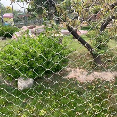 Durable X Tend Cable Mesh  for Indoor Plant Wall Shape Support