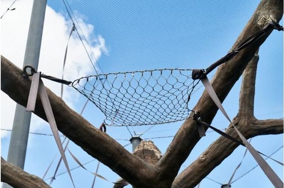 Safety Non Rusting Stainless Steel Wire Rope Mesh for Aviary Netting and Animal Enclosures