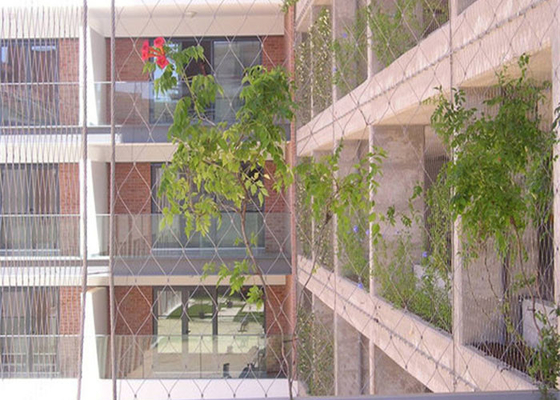 مش کابل استنلس استیل دیوار سبز Plant Climbing 3.2mm
