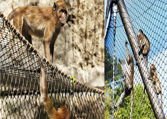 بسته بندی جعبه کارتنی توری توری توری پرنده از جنس استنلس استیل با قطر 1.5 میلی متر