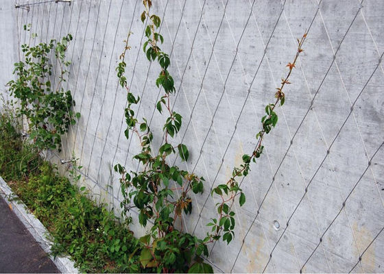 سازگار با محیط زیست باغ سیم مشعل دیواری Trellis Ferroled / Knotted Anti-Corrosive Mesh
