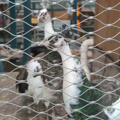 شبكه هاي چوبي و انعطاف پذير براي باغ وحش