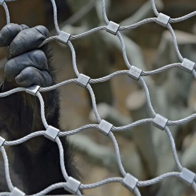 شبکه کابل های استنلیس استیل برای موانع ایمنی طراحی شده