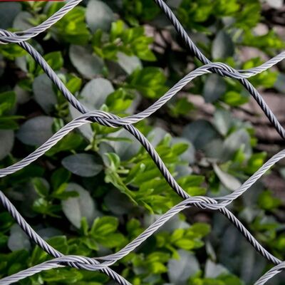 شبکه کابل انعطاف پذیر فولاد ضد زنگ طراحی شده برای ایمنی در پروژه های معماری