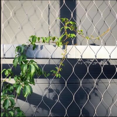 توری طناب فولاد ضد زنگ نوع فرول برای گیاهان سبز بالارونده