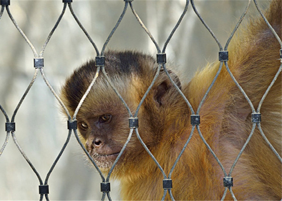 مش طناب سیمی 1.5 میلی متری با استحکام بالا برای قفس پرندگان باغ وحش Aviary