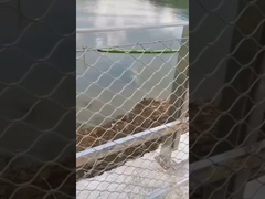 نرده مشبک طناب سیمی