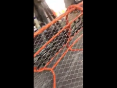 حصار با شبکه سیم