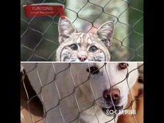 قفس حیوانات