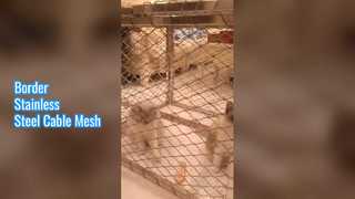 مش کابل استنلس استیل حاشیه