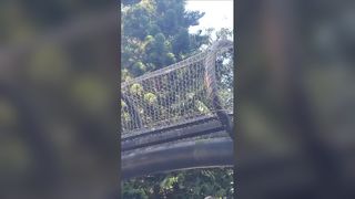 حفاظت از سقوط حصار باغ با طناب استیل ضد زنگ