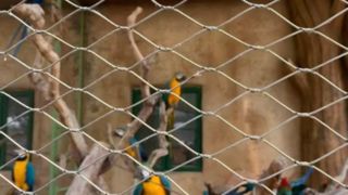 توری کابلی از جنس استنلس استیل بافته شده چگونه است؟